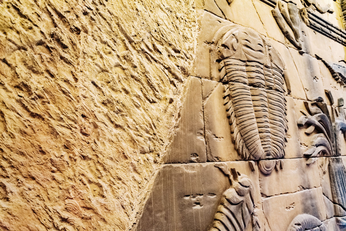 Trilobyte is built on Stellar Soroban